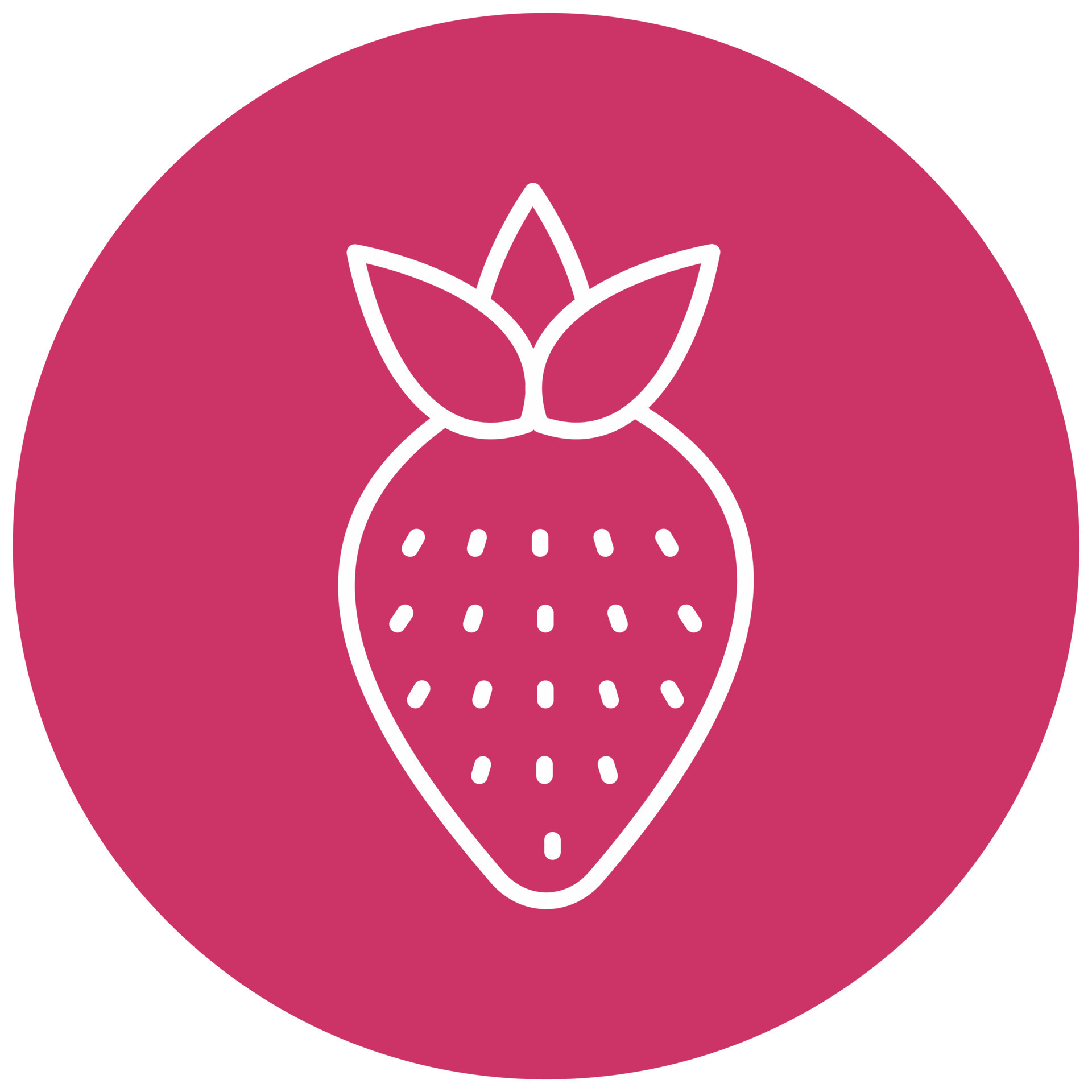 Strawberry Vector Icon Style 22044781 Vector Art at Vecteezy