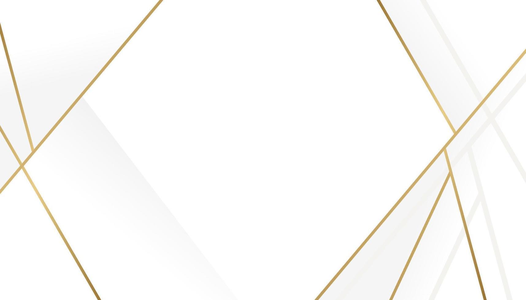 Luxury Gold Geometric line border on white background vector