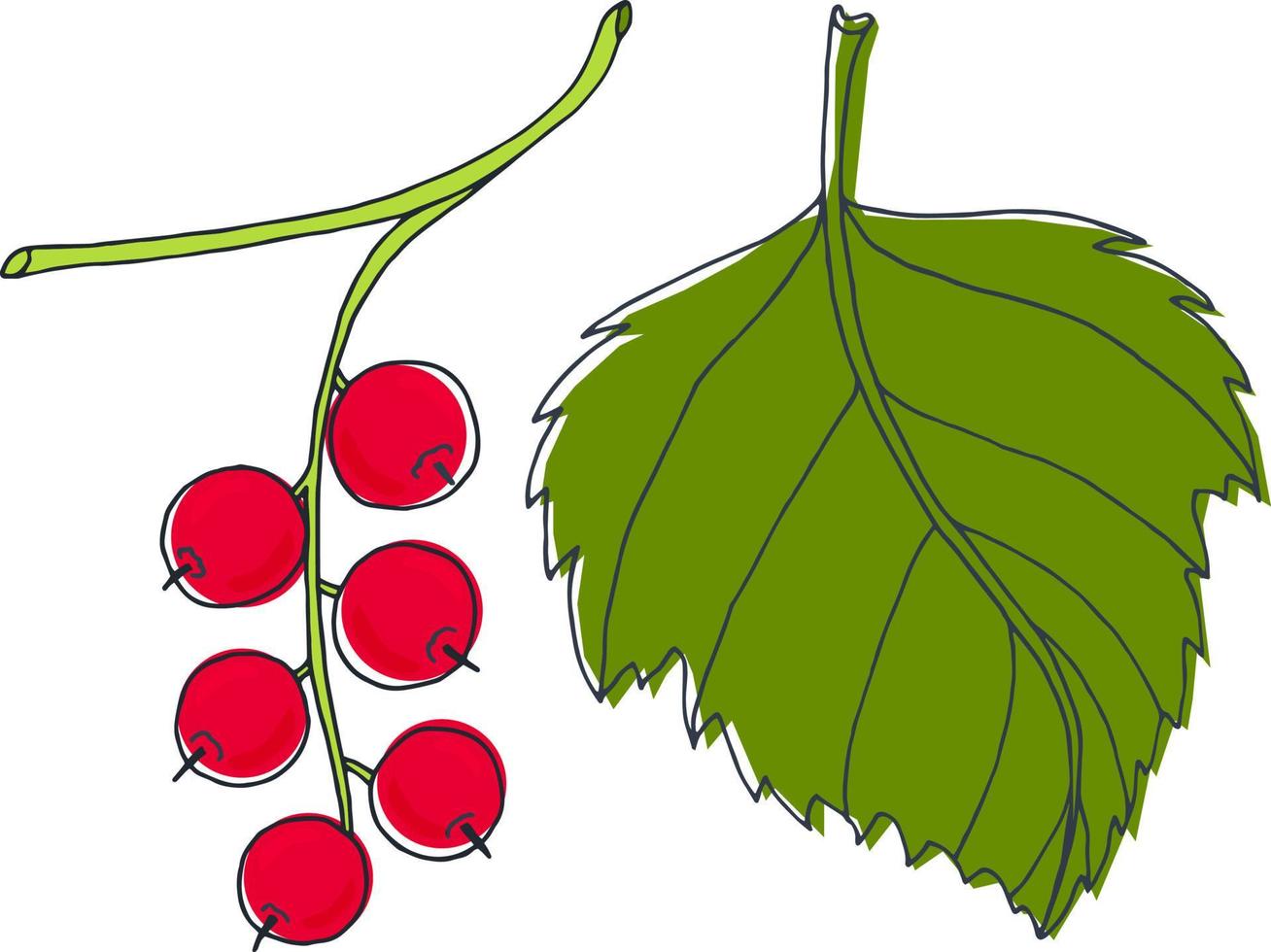 Red currant with a leaf. Vector image in the style of a doodle.