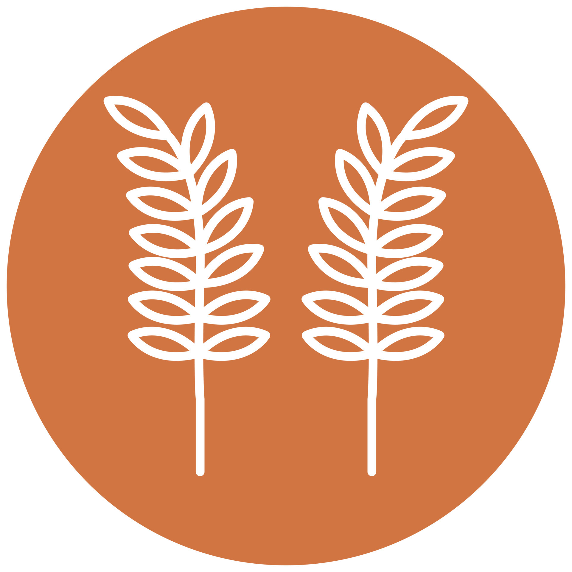 Sheaf of Rice Vector Icon Style 22047910 Vector Art at Vecteezy