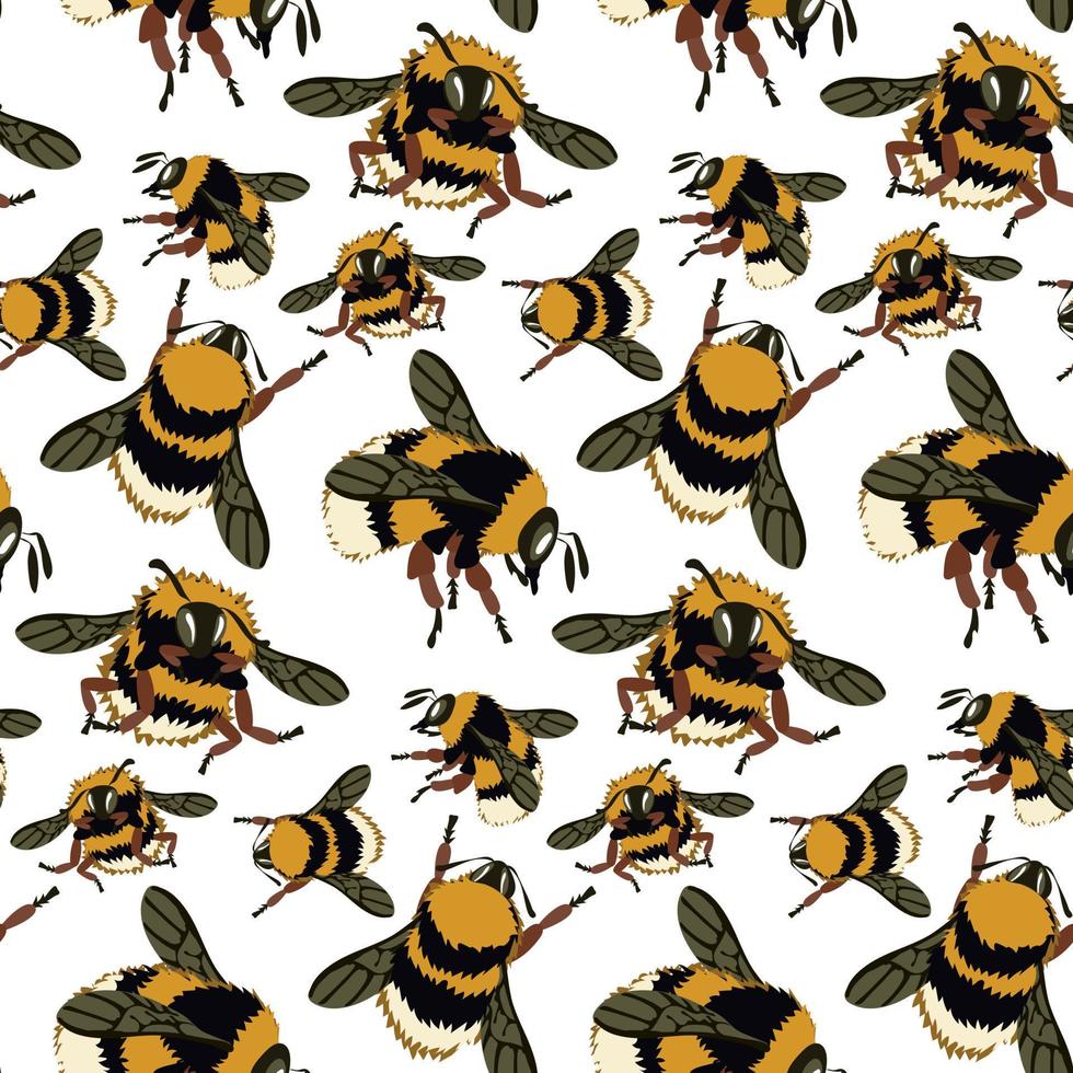 A pattern with an image from a honey bee. Fluffy bees, bumblebees in different poses fly on a white background. natural background with bees. Large and small insects. Printing on textiles and paper vector