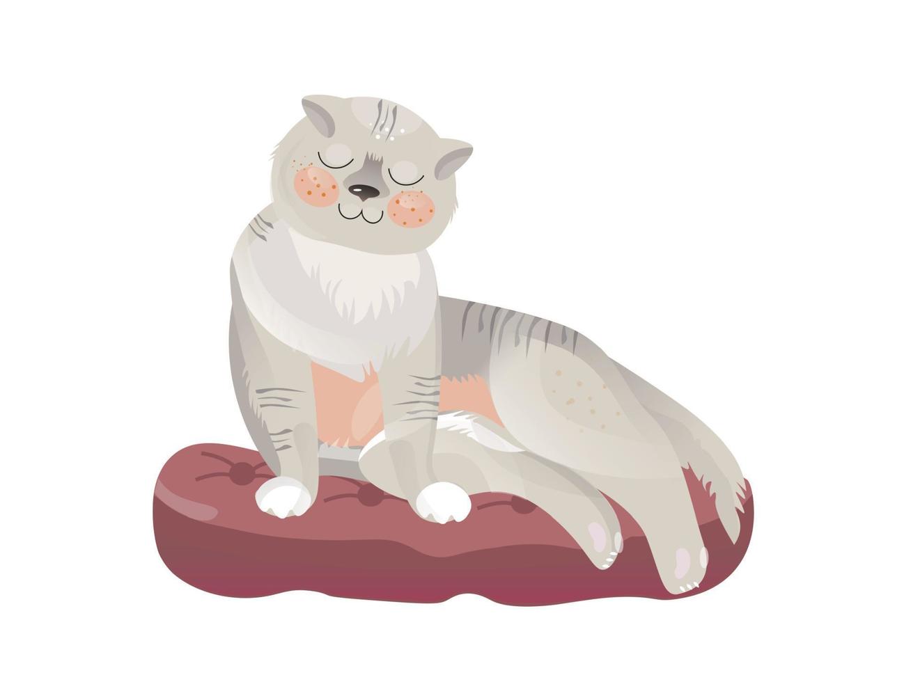 The cat is resting on a pillow. Vector illustration.