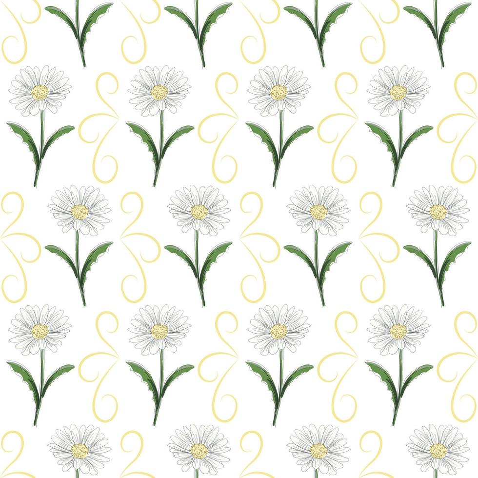 moderno sin costura floral patrón, dibujado a mano margaritas en un blanco antecedentes. un elegante modelo para de moda huellas dactilares, impresión, sitio web diseño. vector