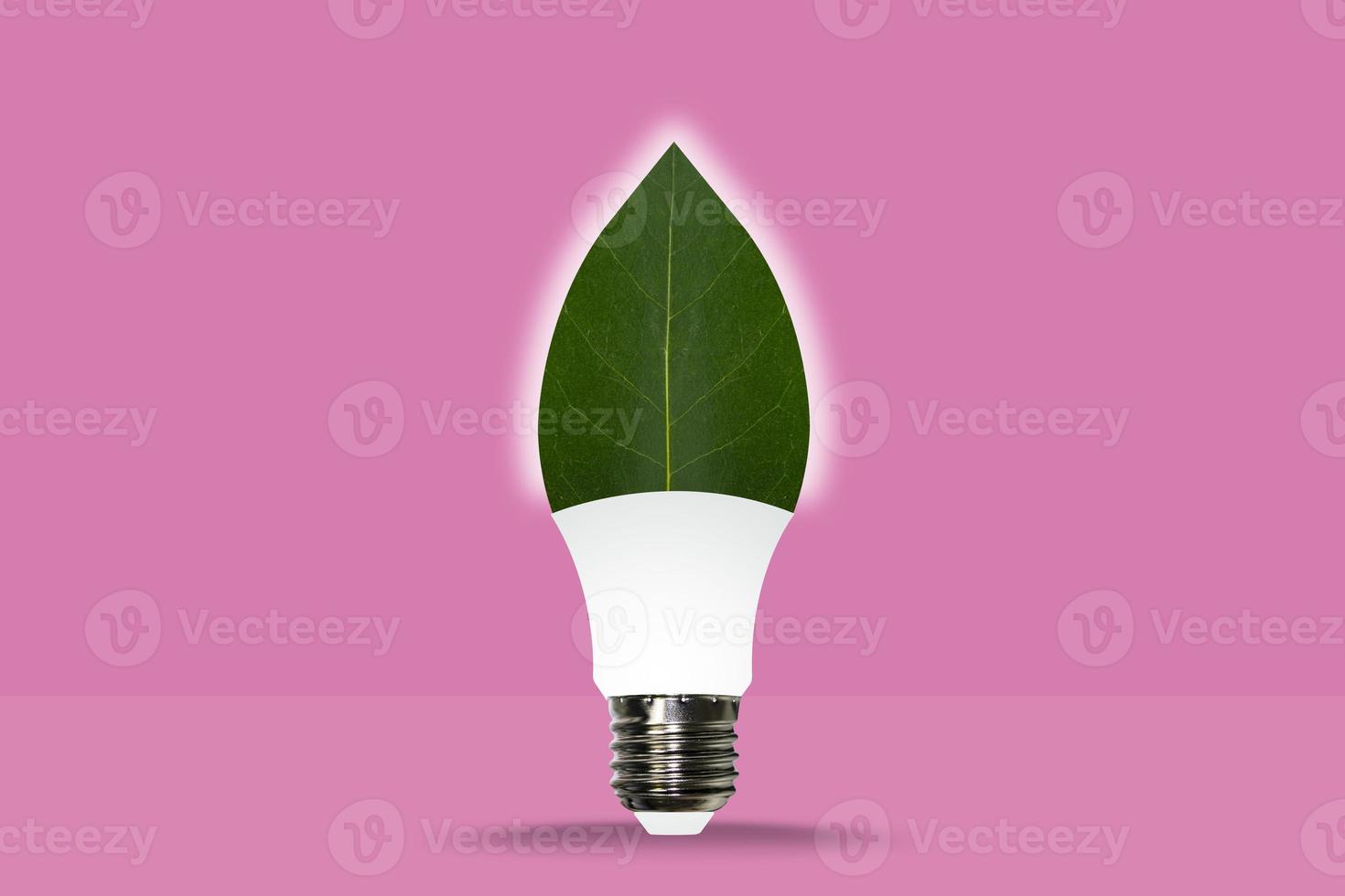 A bulb in the shape of a green leaf on a pastel pink background photo