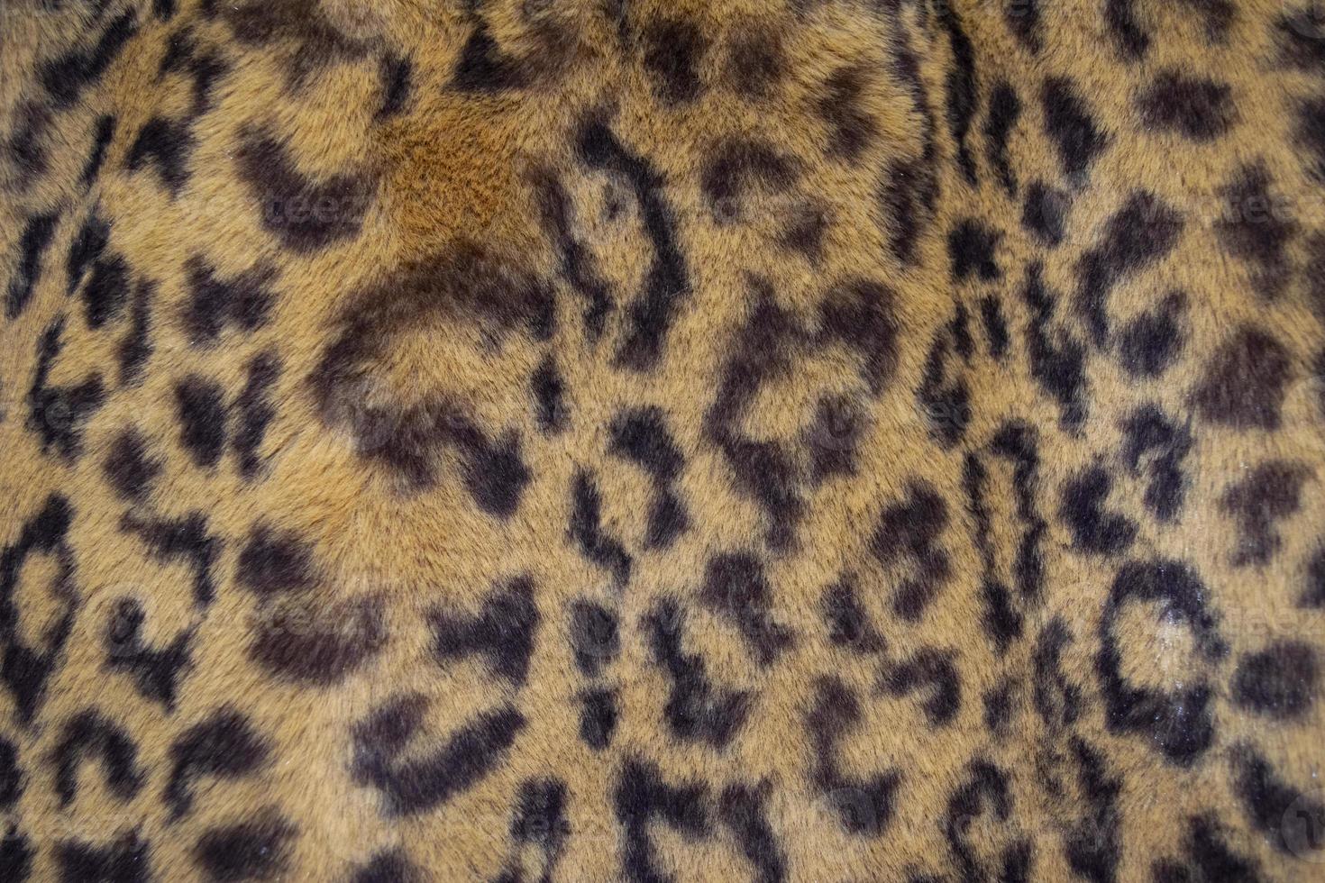 Leopard animal print, fur texture or background full frame photo