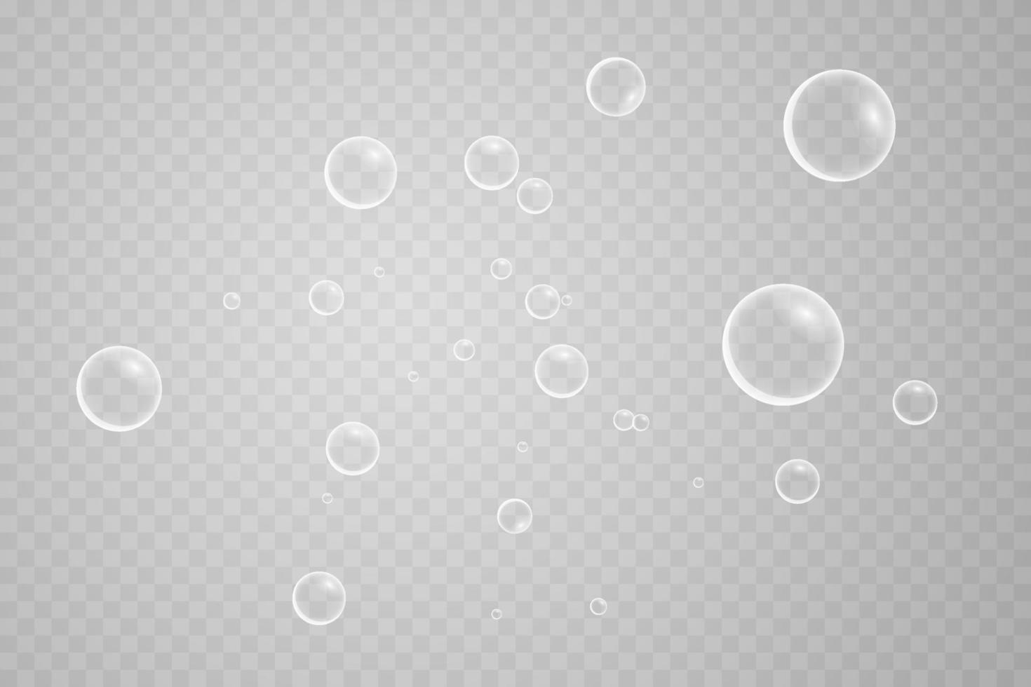 Colorful soap bubbles. Isolated, transparent, realistic soap bubbles. vector