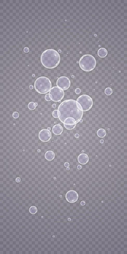 Colorful soap bubbles. Isolated, transparent, realistic soap bubbles. vector