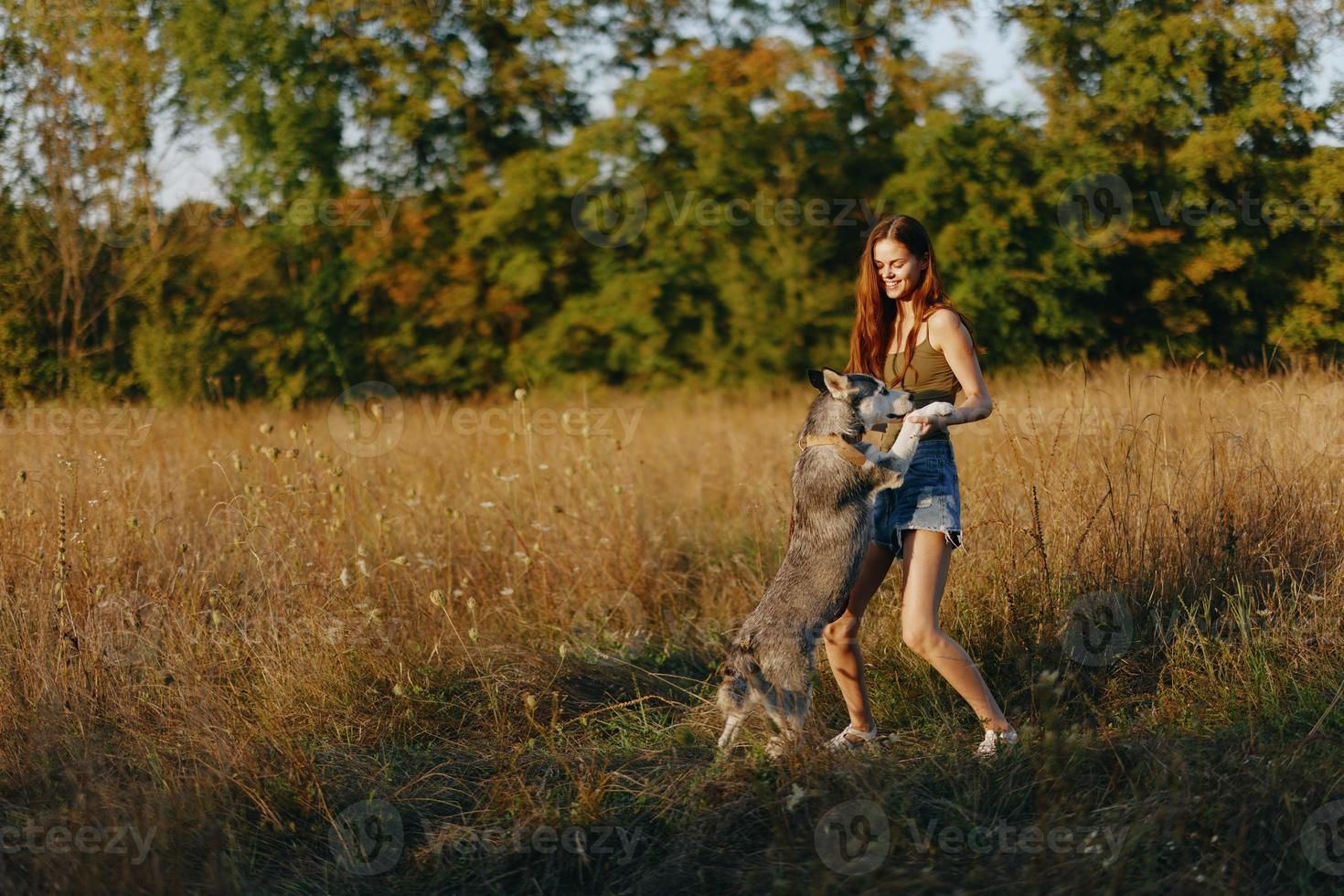 A woman plays and dances with a husky breed dog in nature in autumn on a field of grass and smiles at a good evening in the setting sun photo
