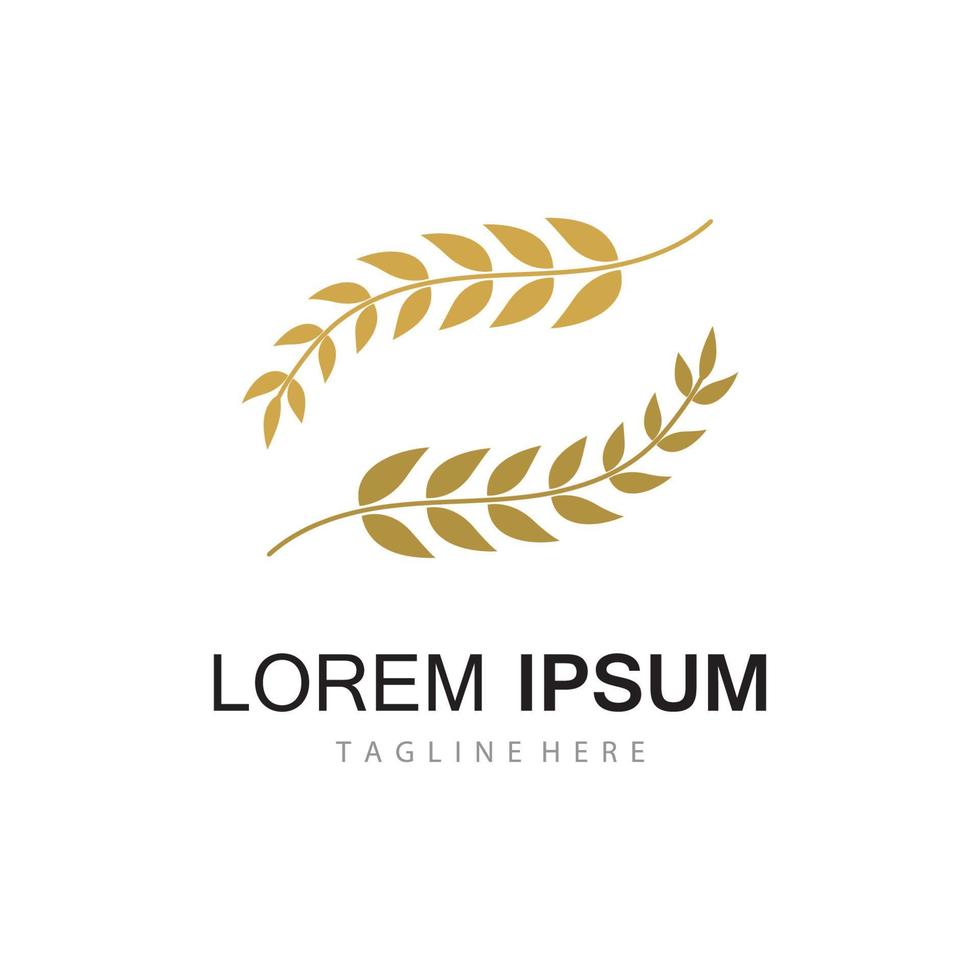 Agriculture wheat vector