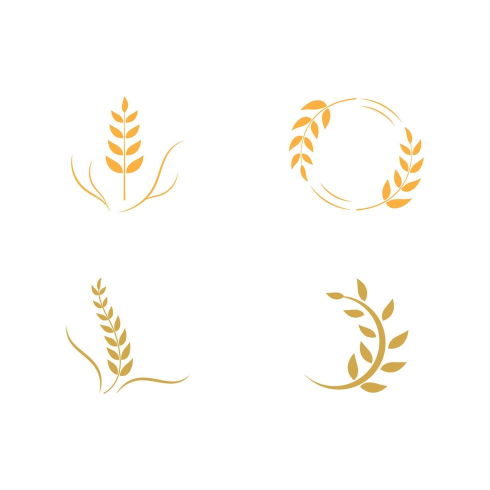 Agriculture wheat vector