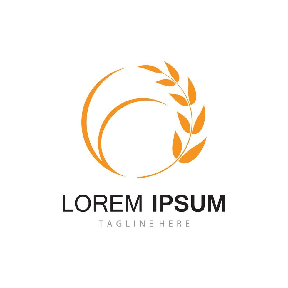 Agriculture wheat vector