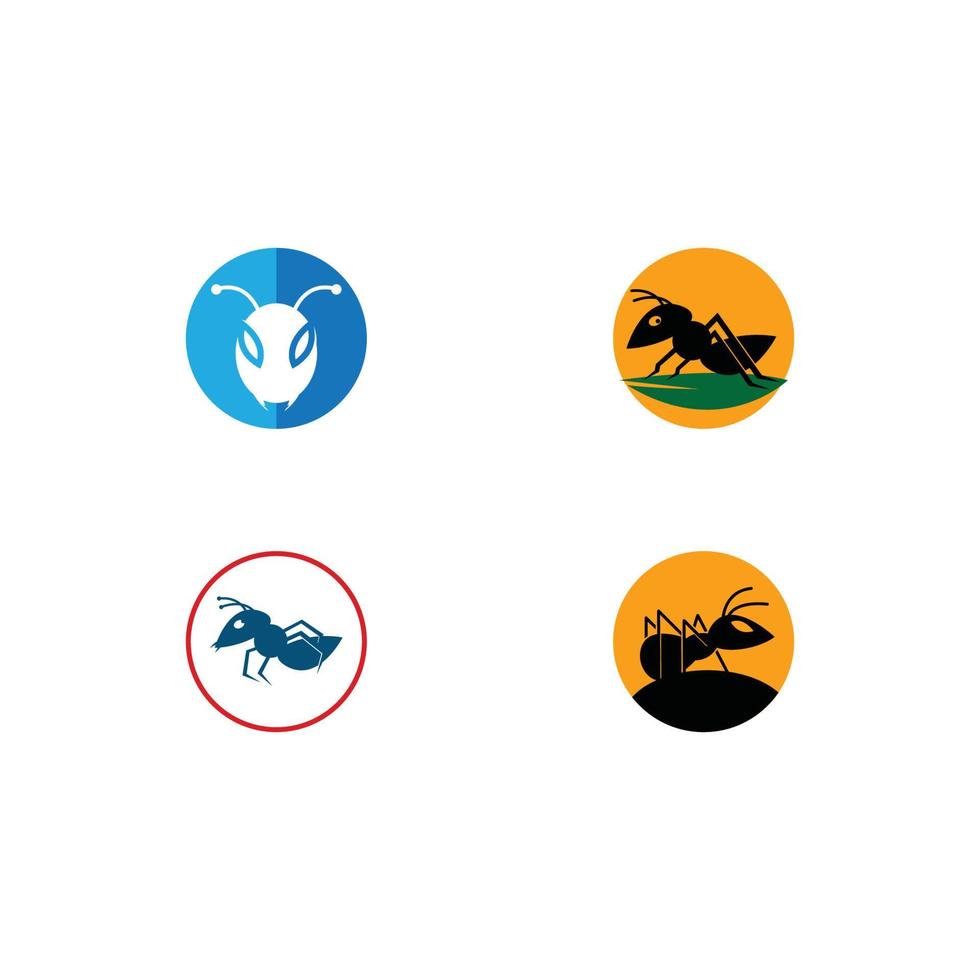 Ant vector illustration design