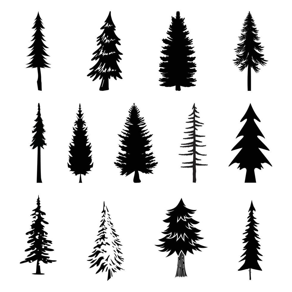 13 professional pine trees silhouette vector