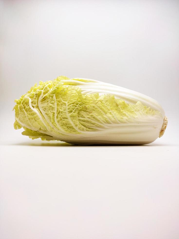 Chinese Cabbage, Napa Cabbage isolated on White Background photo