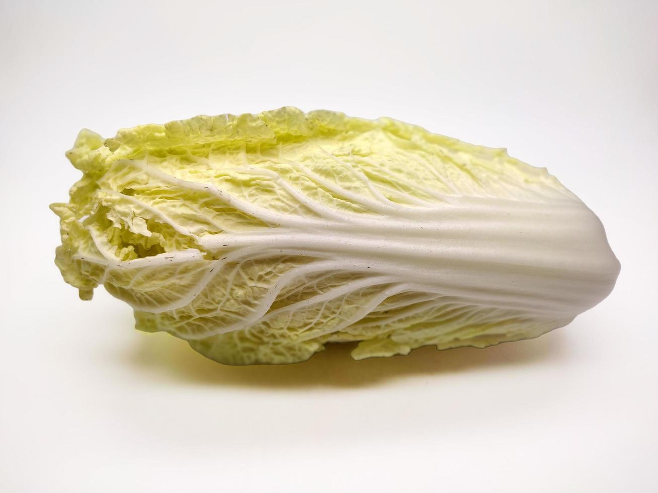 Chinese Cabbage, Napa Cabbage isolated on White Background photo