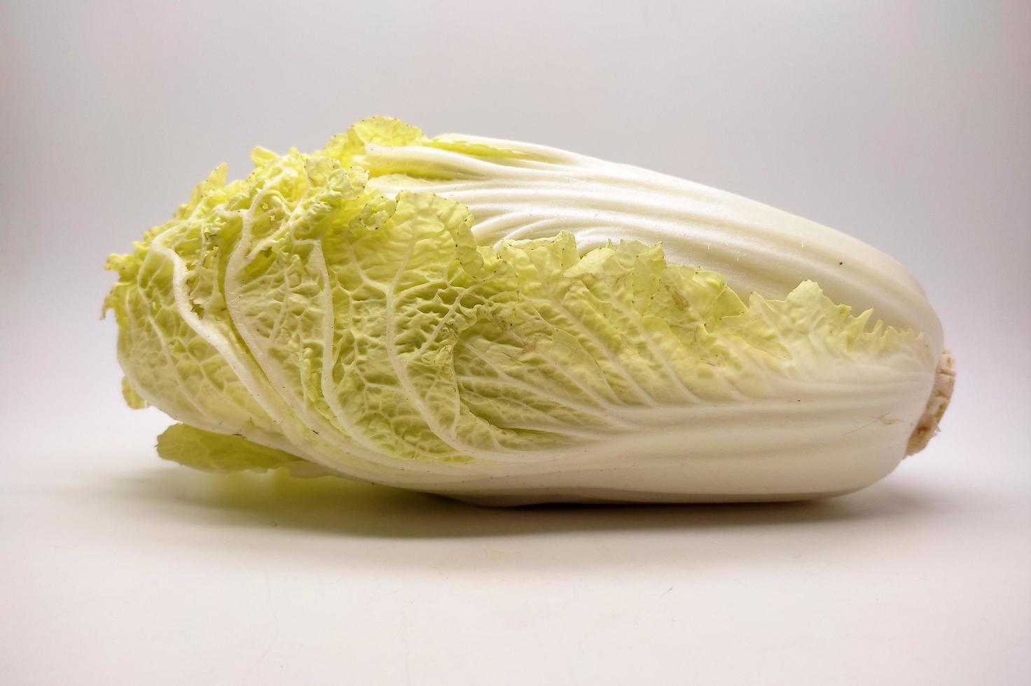 Chinese Cabbage, Napa Cabbage isolated on White Background photo