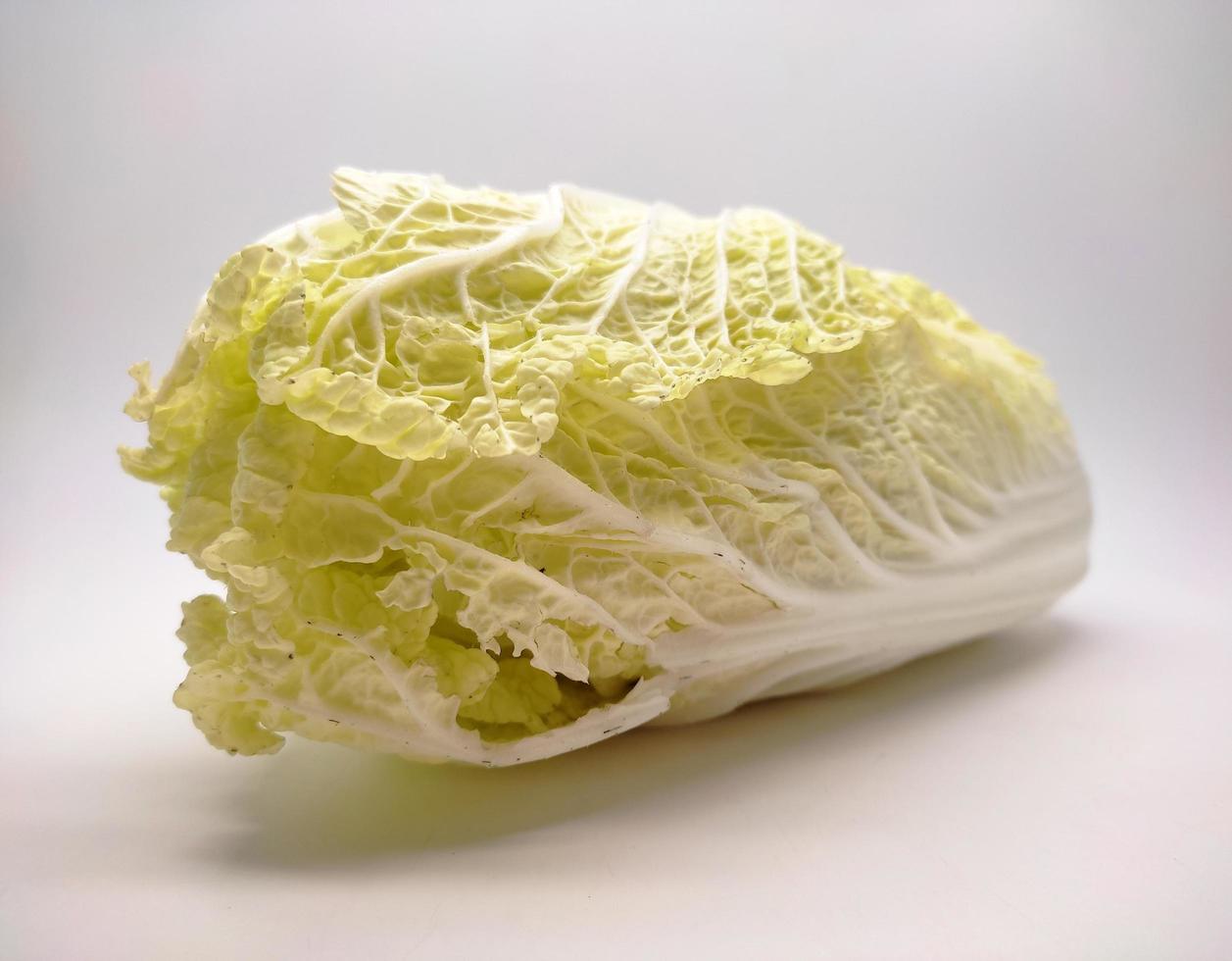 Chinese Cabbage, Napa Cabbage isolated on White Background photo