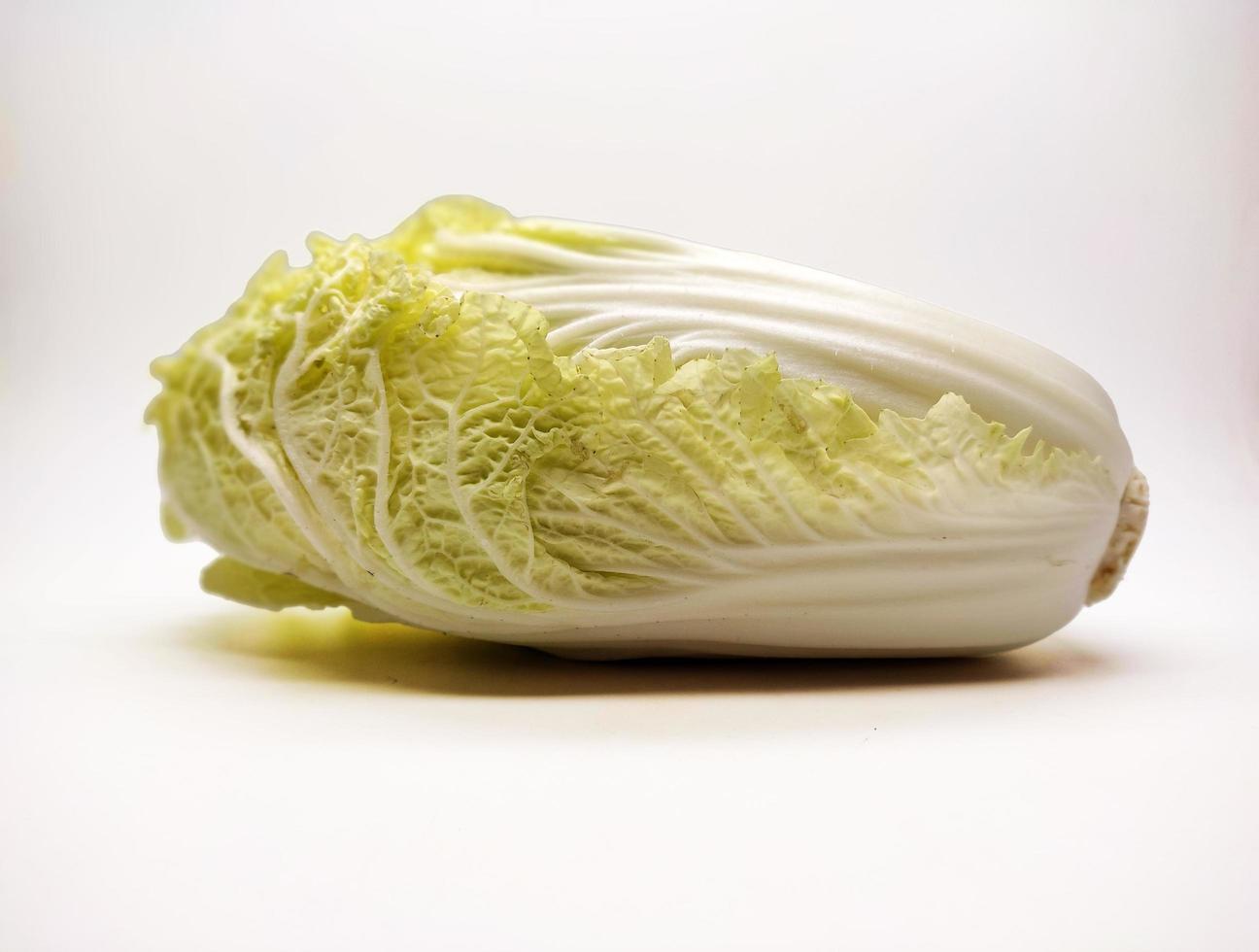 Chinese Cabbage, Napa Cabbage isolated on White Background photo