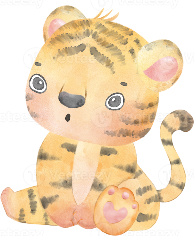 cute happy playful baby tiger watercolour kid animals wildlife cartoon painting illustration png