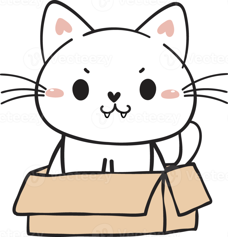 cute funny playful naughty white kitty cat pet in cardboard box animal doodle drawing png