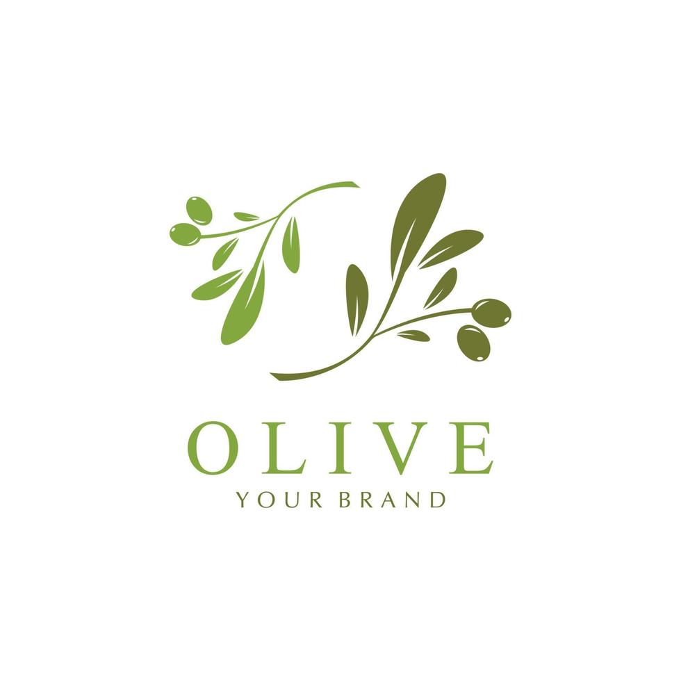 olive icon vector illustration