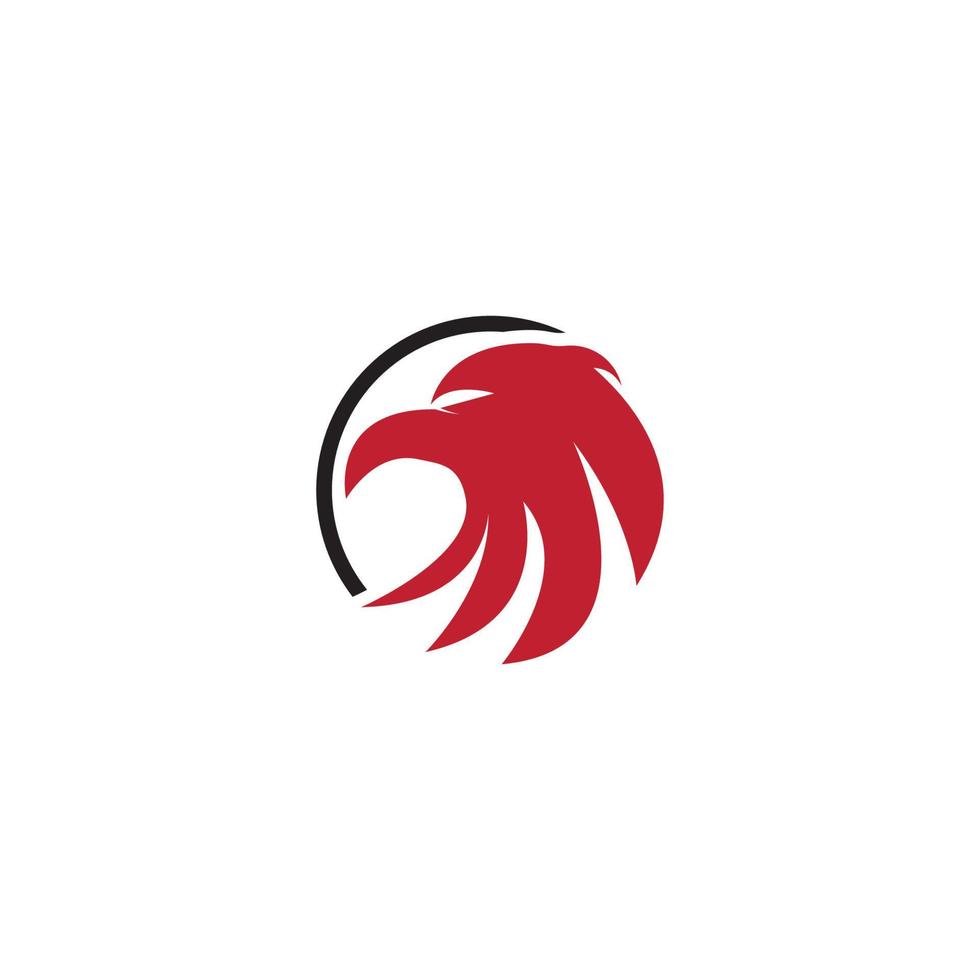 Falcon Logo Template vector