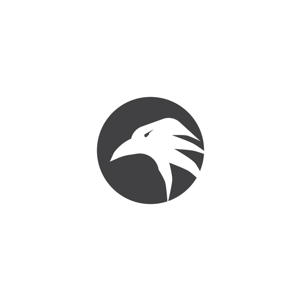 Falcon Logo Template vector