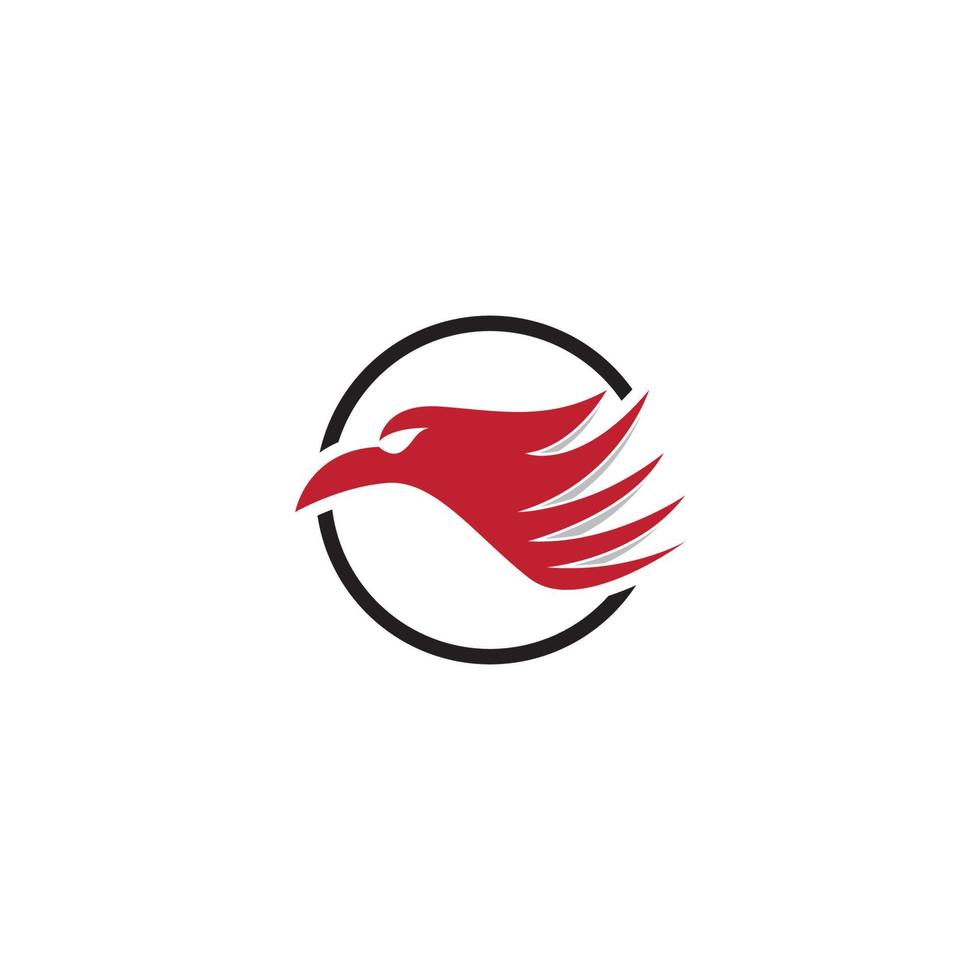 Falcon Logo Template vector