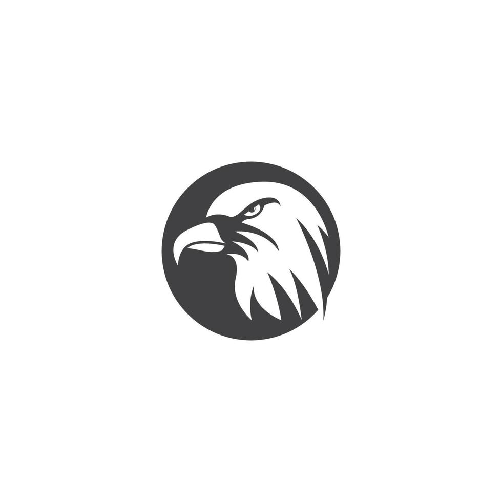 Falcon Logo Template vector