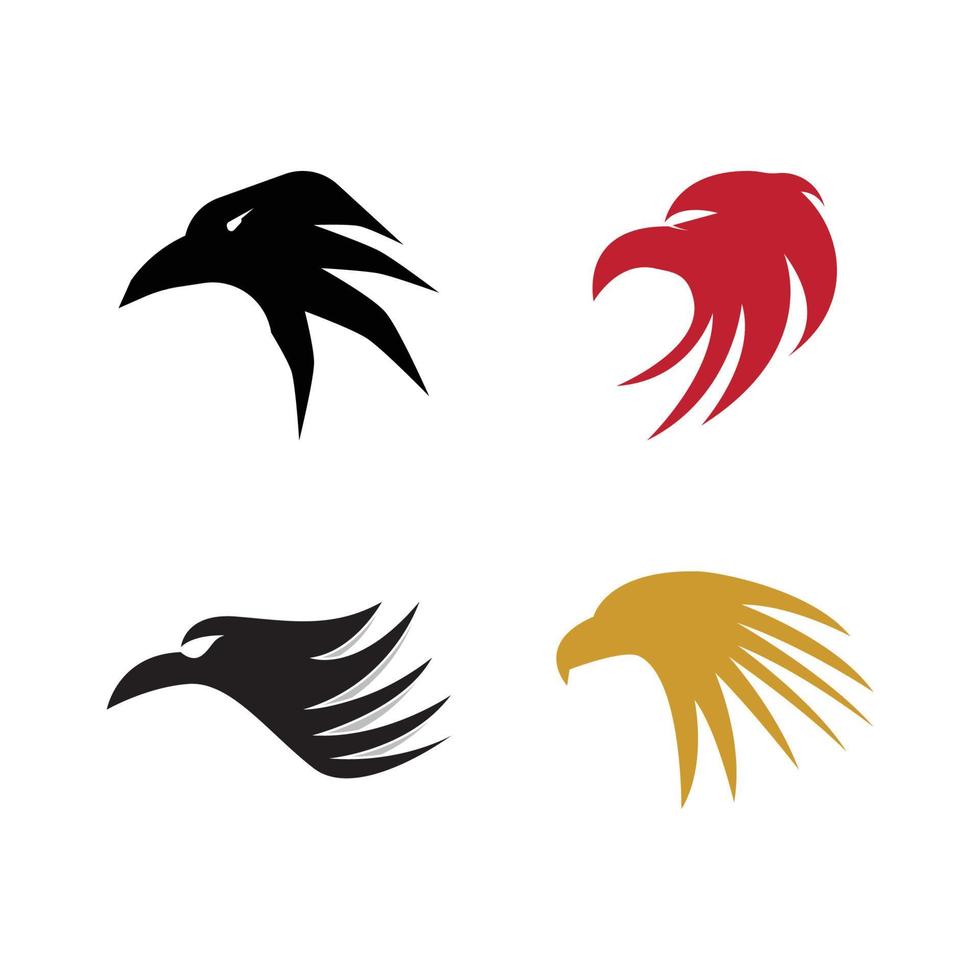 Falcon Logo Template vector