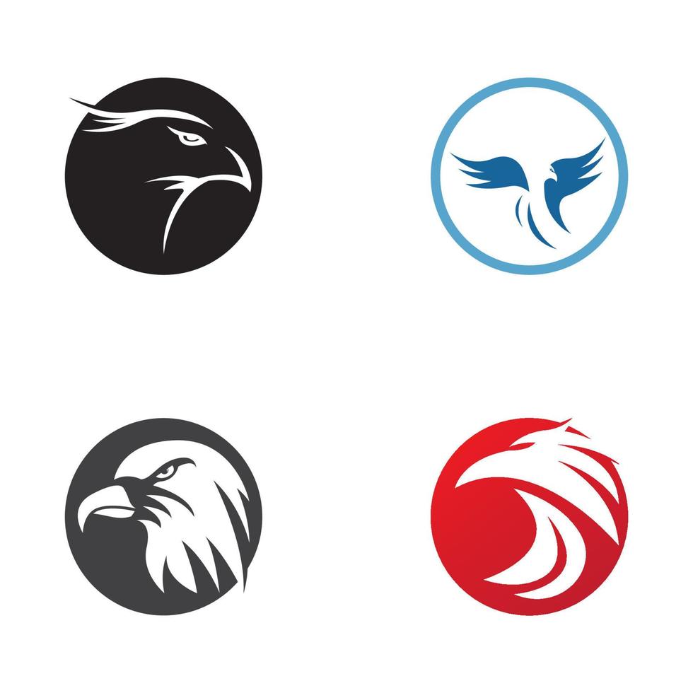 Falcon Logo Template vector