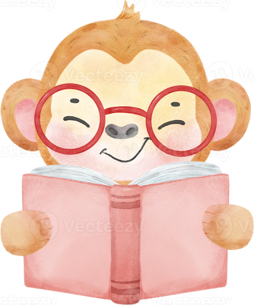 cute watercolour safari monkey animals kid back to school reading book cartoon png