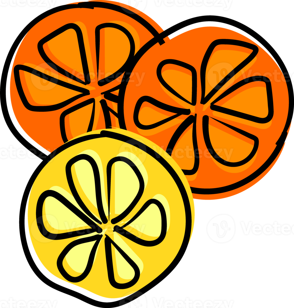 cute orange fruits and vegetable funky quirky hand drawing doodle png