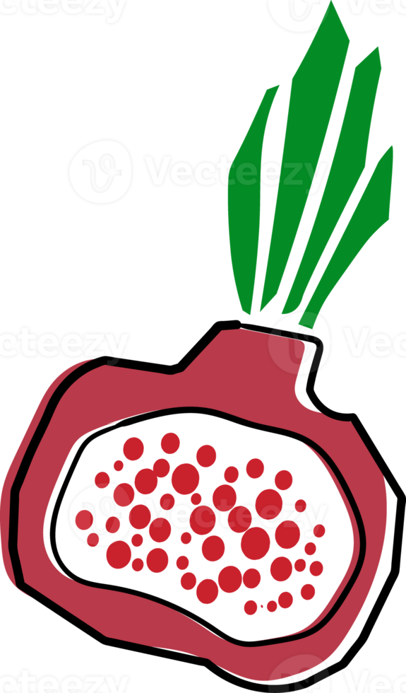 fofa beterraba frutas e vegetal funky peculiar mão desenhando rabisco png