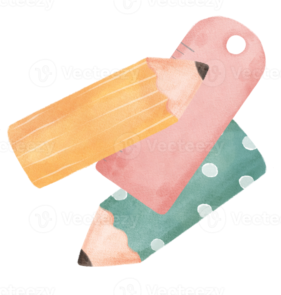 cute watercolour sweet pastel school pencils and ruler cartoon illustration painting png