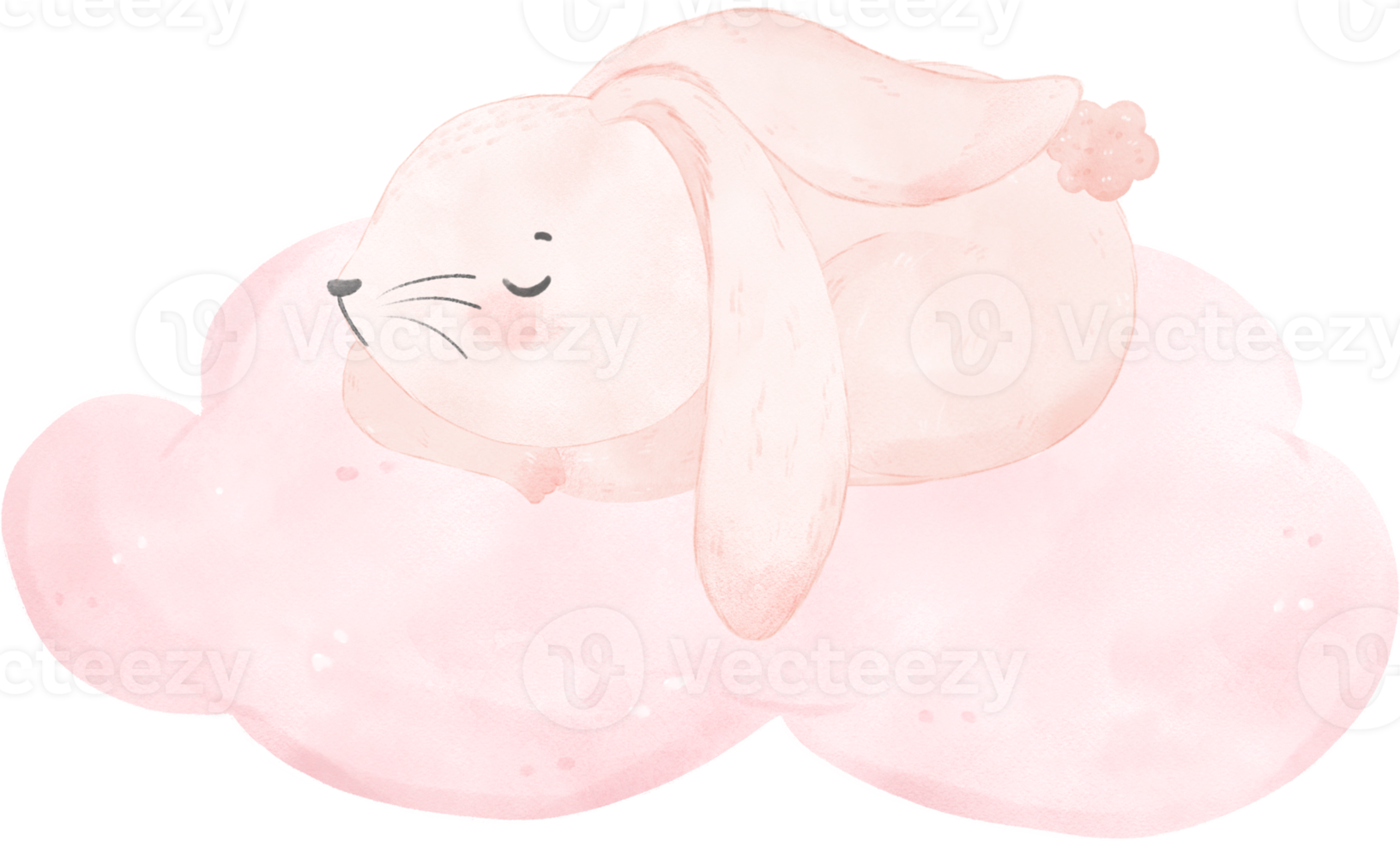 adorable caprichoso contento dulce bebé rosado conejito Conejo acuarela en suave rosado nube niños ilustración png