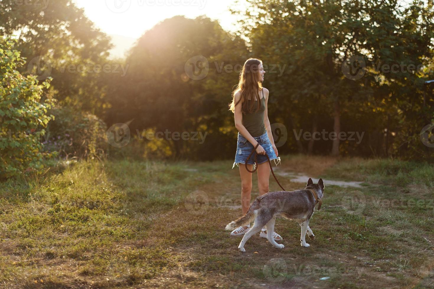 A woman runs her back to the camera with a dog in the forest during an evening walk in the forest at sunset in autumn. Lifestyle sports training with your beloved dog photo