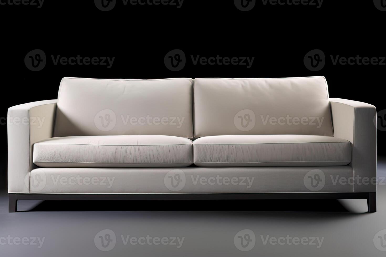 sofa furniture isolated on white background. . photo