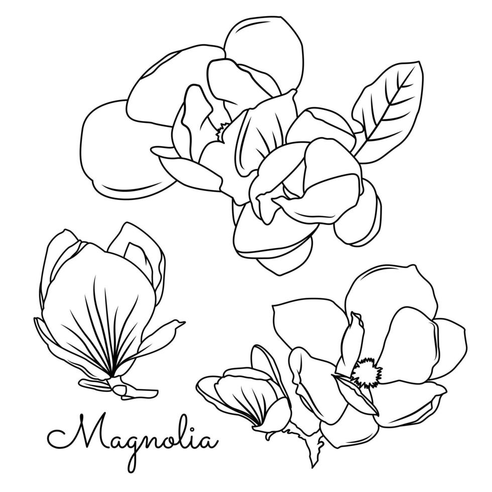 negro y blanco línea ilustración de magnolia flor en un blanco antecedentes vector