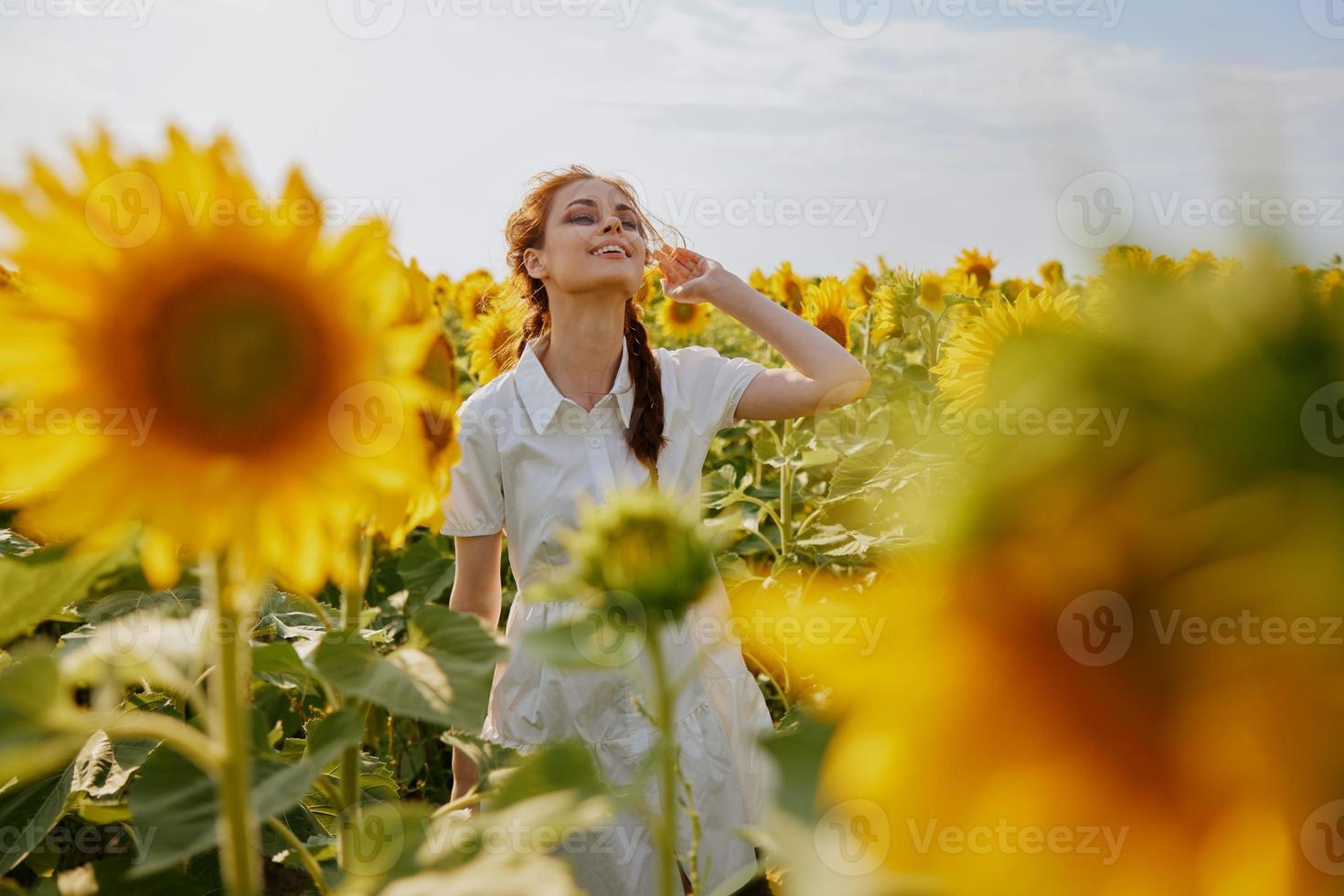 woman with two pigtails In a field with blooming sunflowers countryside photo