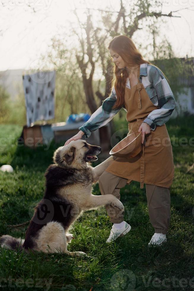 mujer acariciando su grande peludo perro en. granja en el campo en contra un fondo de limpiar lavandería en un cuerda foto