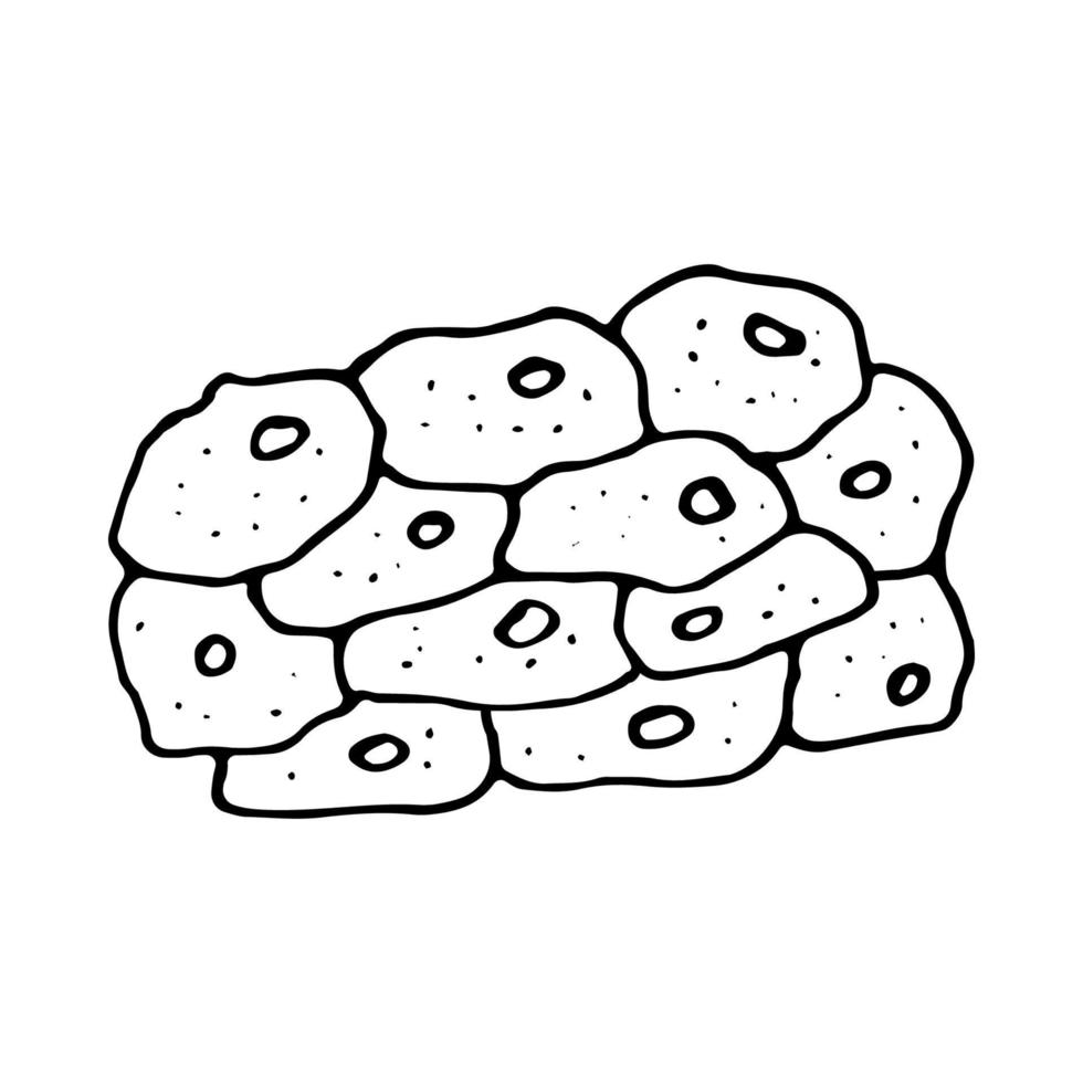 Living organism cells doodle icon vector