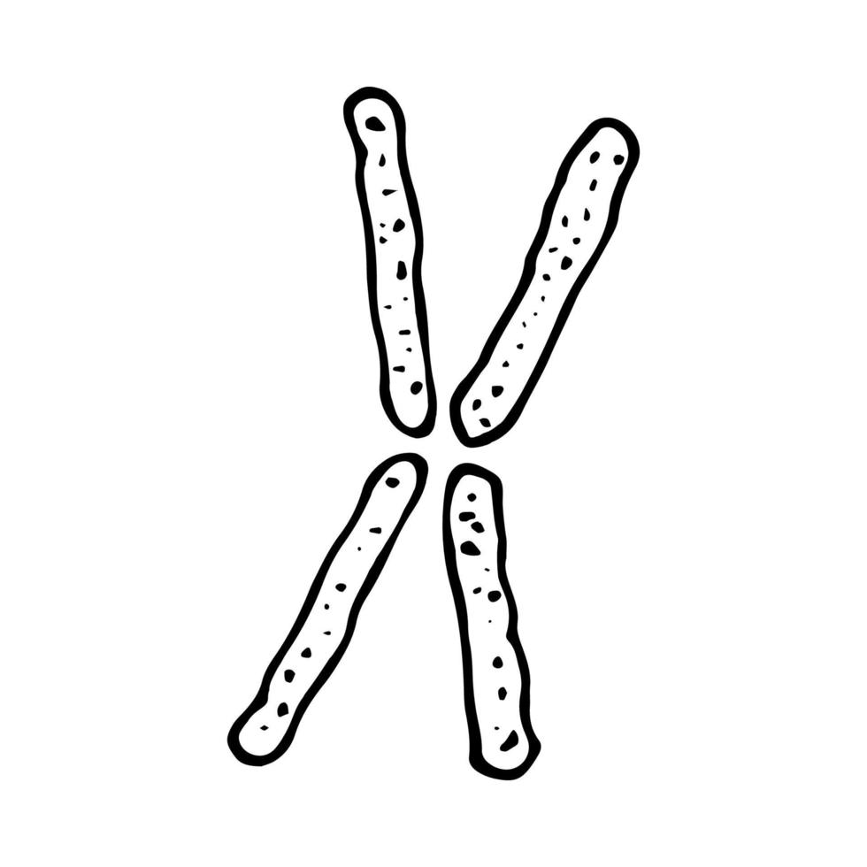 cromosomas garabatear icono vector