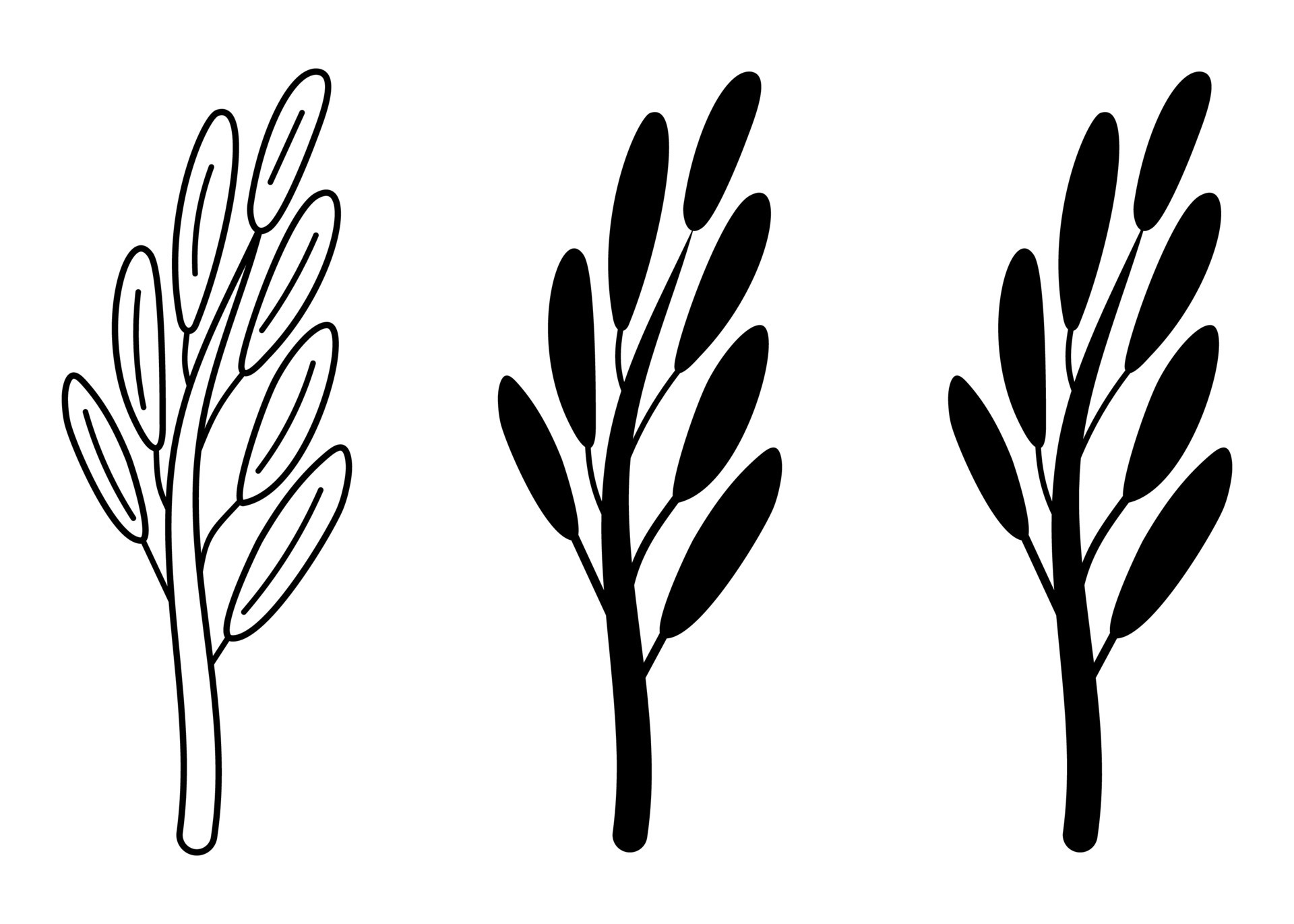 vector sage leaf. icon set. leaves silhouette. Culinary herbs simple