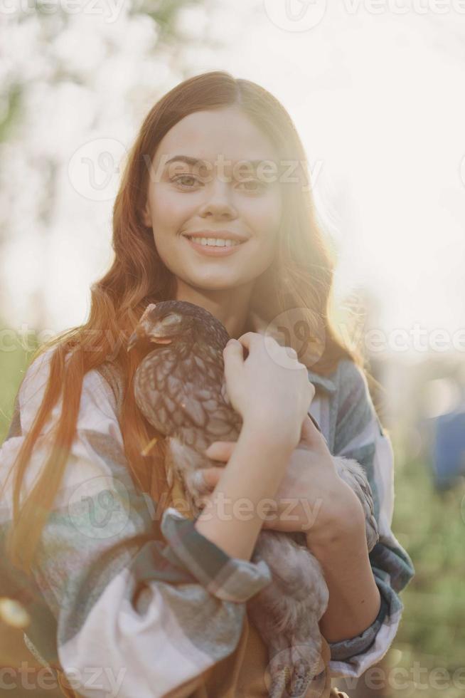 A happy young woman smiles at the camera and holds a young chicken that lays eggs for her farm in the sunlight photo