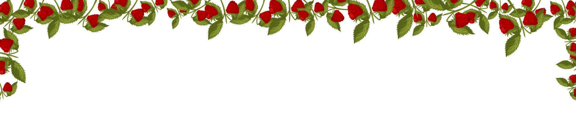 Spring horizontal frame with raspberries and leaves. Summer vector banner