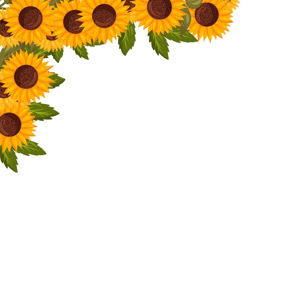 Spring square corner frame with sunflower flowers. Summer vector border