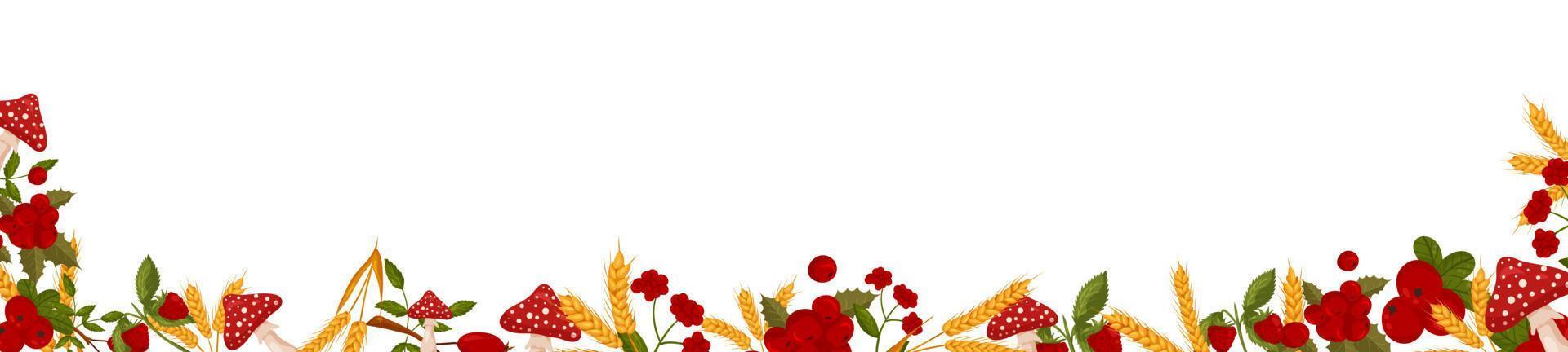 Spring horizontal frame with raspberries, cranberries and mushrooms, fly agarics. Summer vector banner