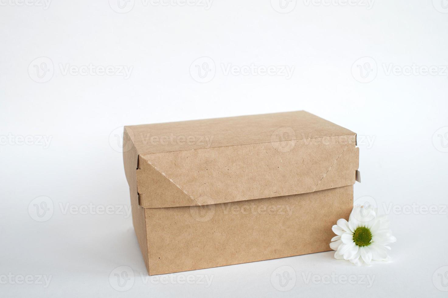 Kraft caja Bosquejo, caja de almuerzo, eco simpático embalaje con sitio para texto, aislado comida caja foto