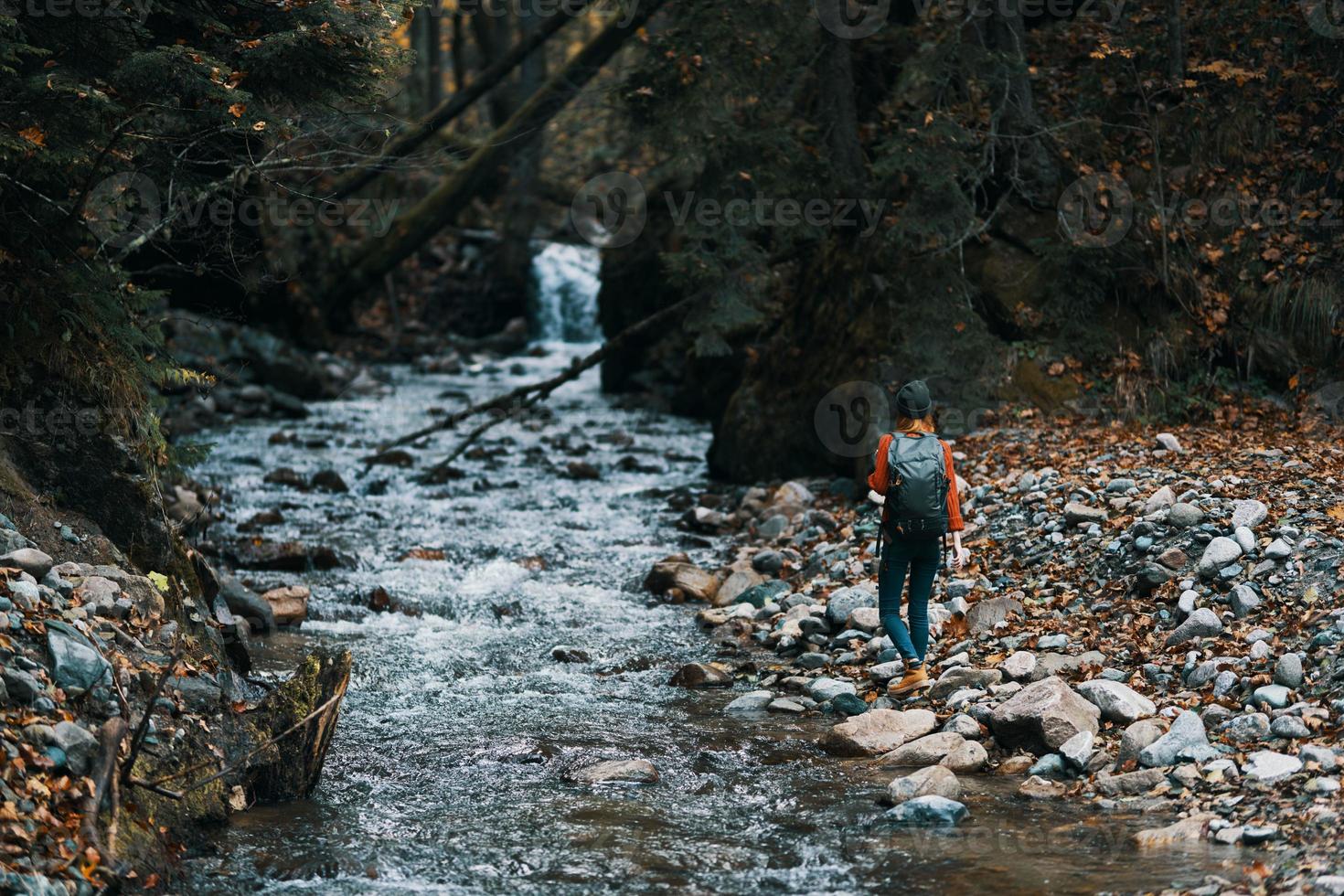 the traveler consists near a stream between two banks and a forest in the background photo